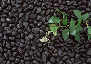 静岡県西部地域で安心の通信サービスを提供するTOKAIモバイルショップのご紹介